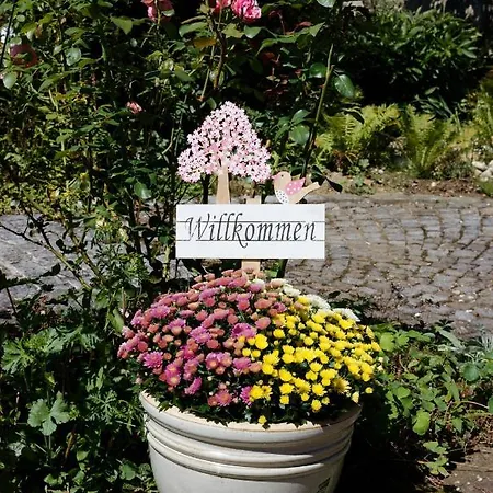 Apartmán Donautal *